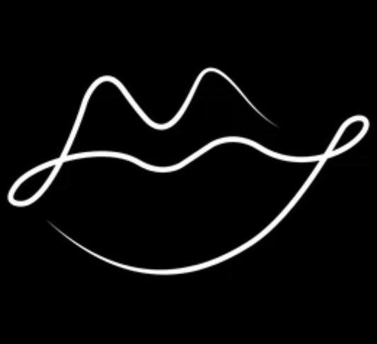 Mystery Lip Liners Bag